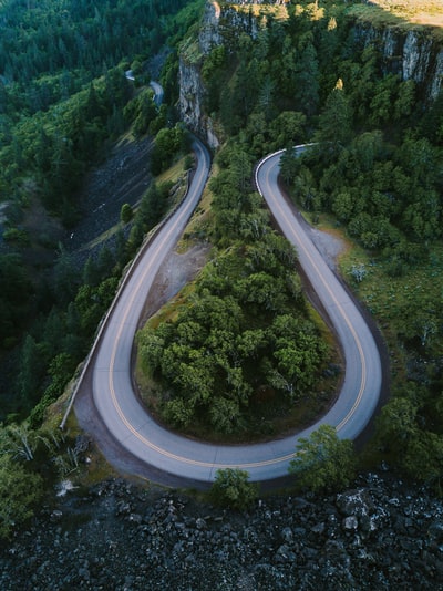 马蹄路与高大的树木包围
